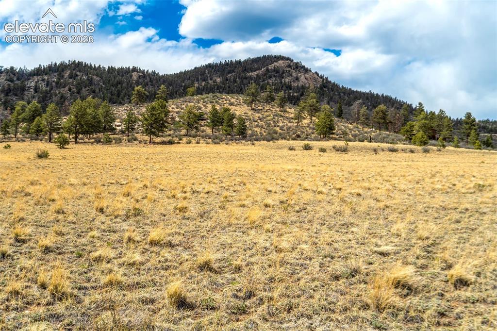 Image 6 of 29: View from bottom of meadow land