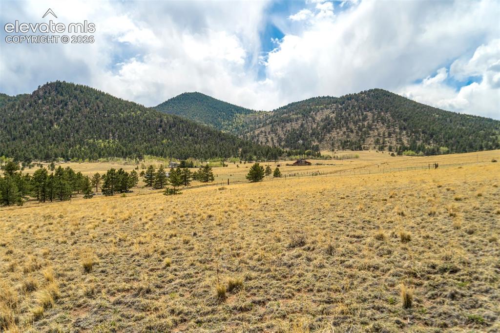 Image 7 of 29: View from meadow land