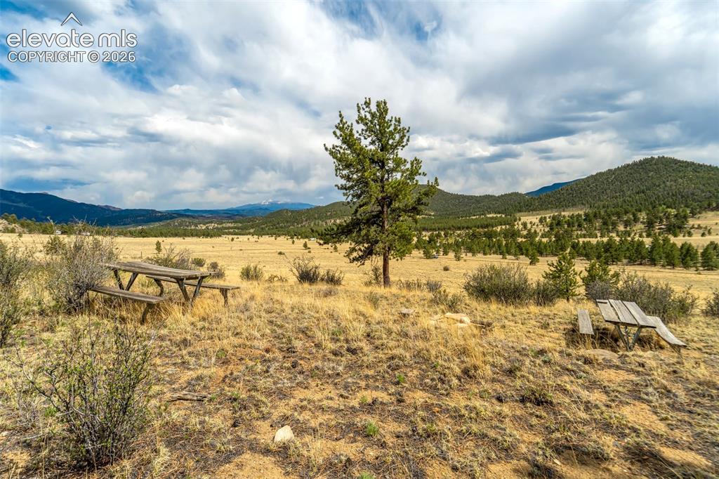 Image 8 of 29: View from sloped area