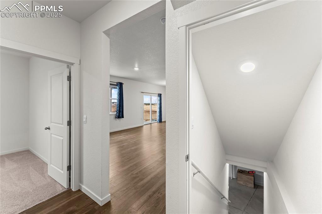 Image 16 of 44: Other