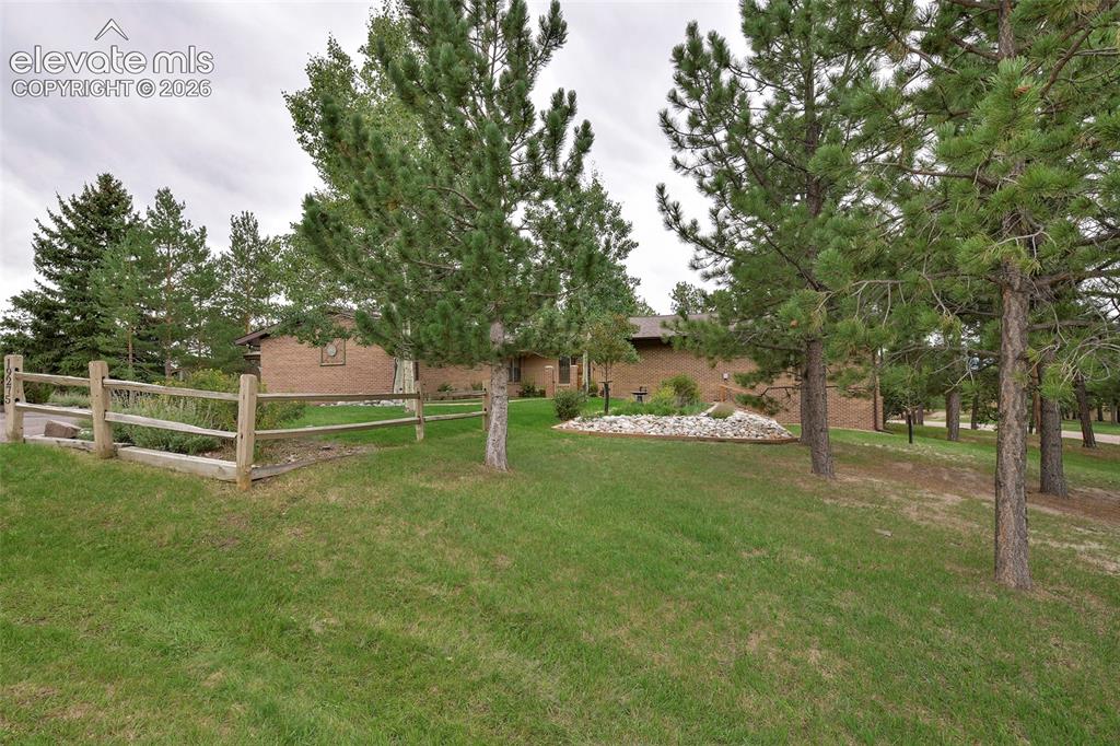 Image 44 of 49: Yard