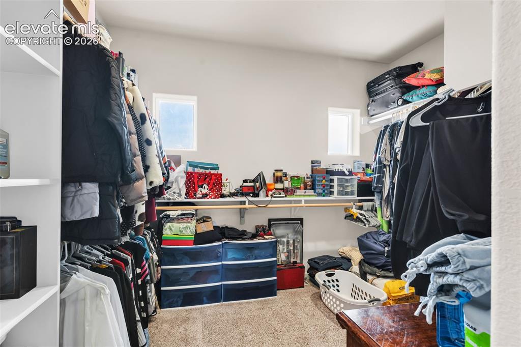 Image 22 of 49: Carpeted walk-in closet featuring white walls, two windows, built-in shelvi
