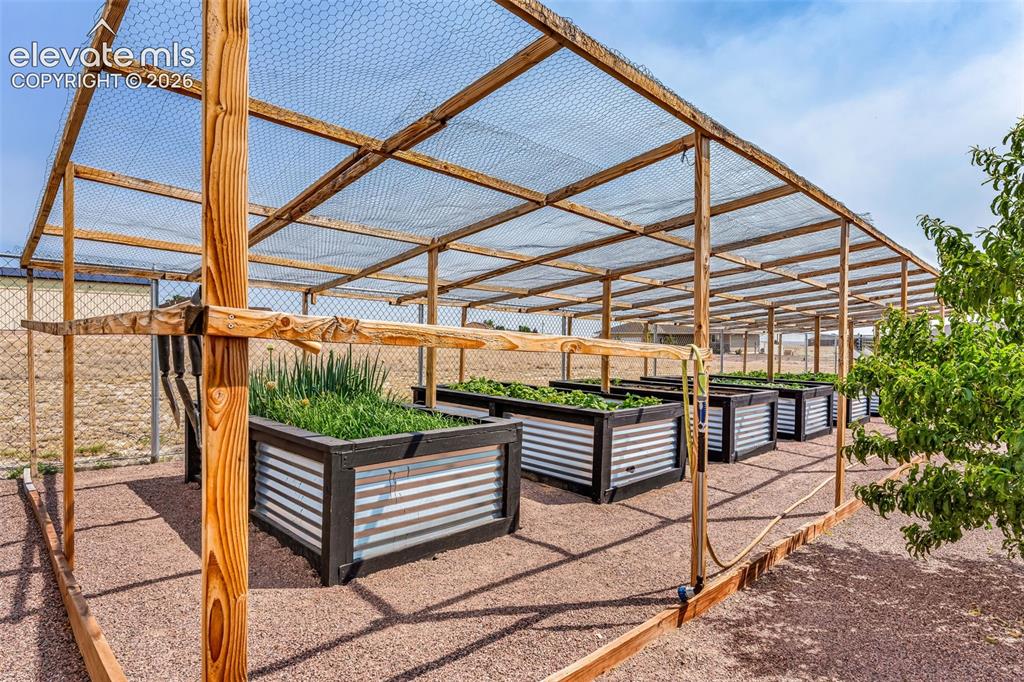 Image 44 of 49: Above ground garden