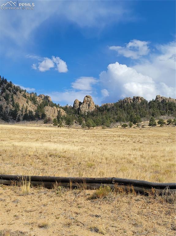 Image 5 of 42: Expansive open space with distant rock formations and evergreen trees