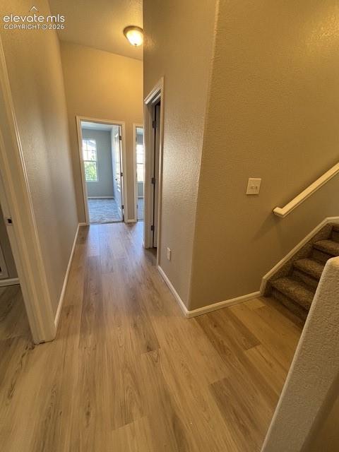 Image 11 of 22: Other