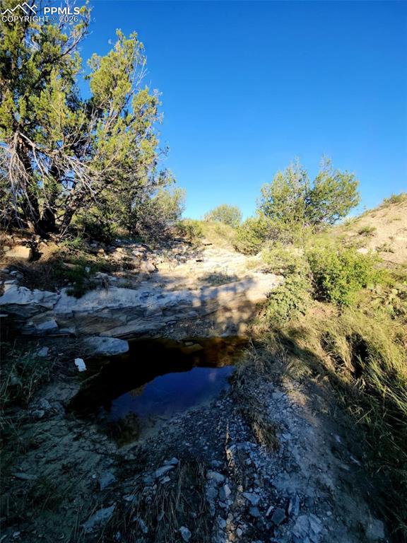 Image 34 of 47: No Description Available