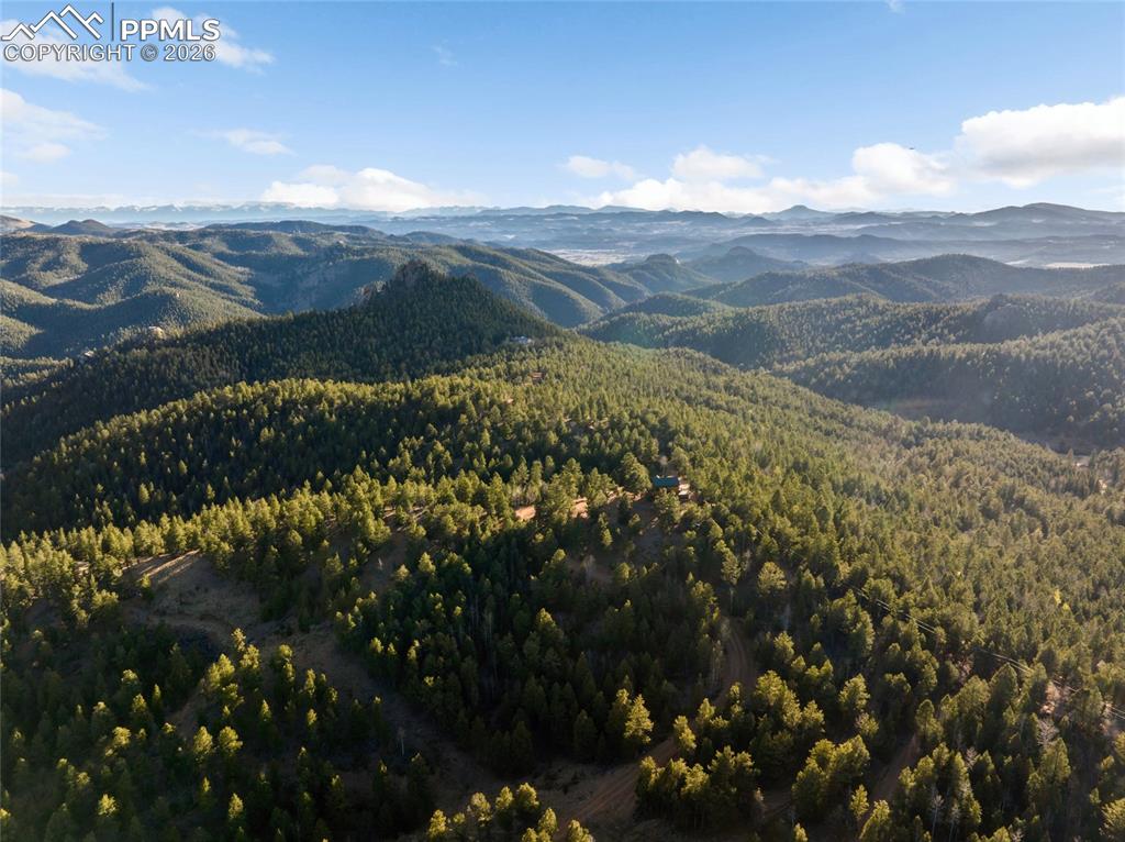 Image 39 of 39: View