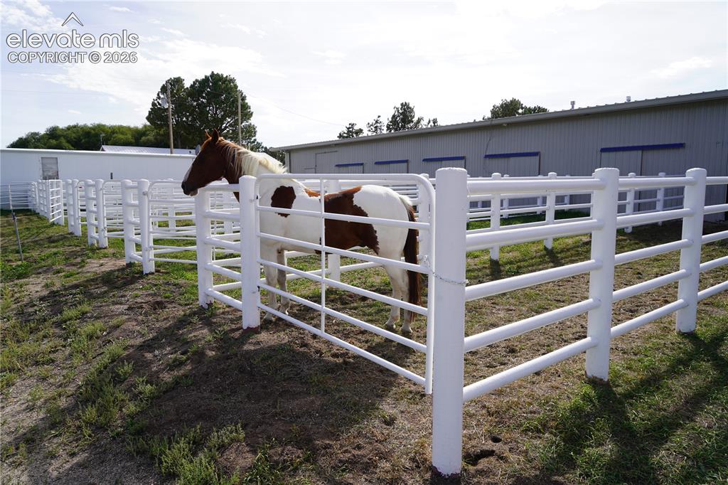 Image 25 of 41: Multiple fenced enclosures with white metal fencing