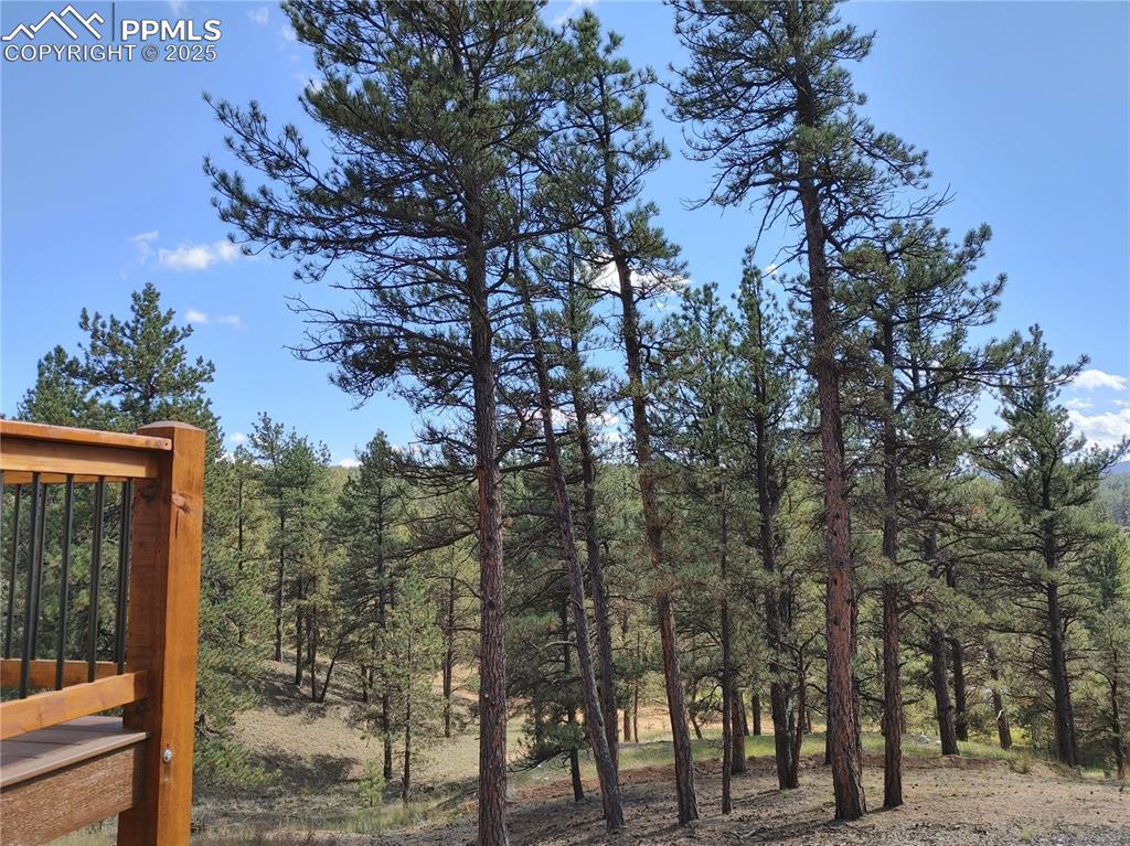 Image 31 of 40: View