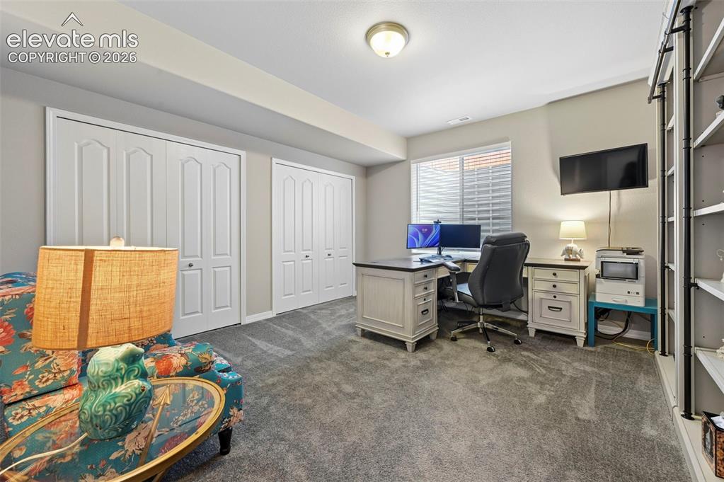 Image 40 of 50: Basement bedroom, used as second office 