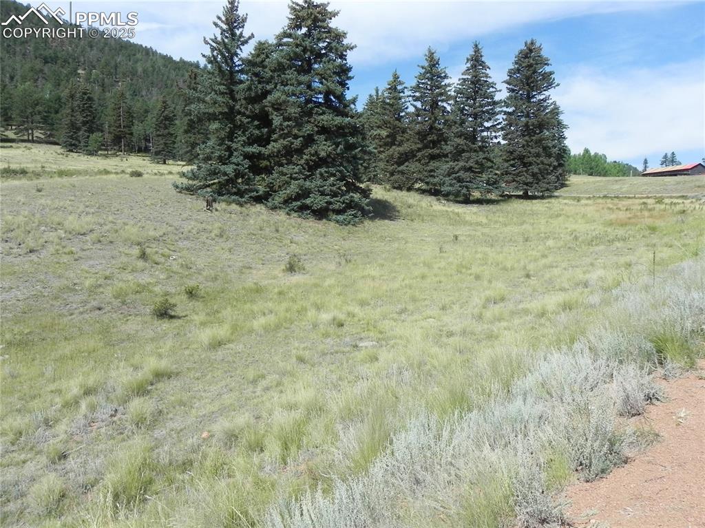 Image 10 of 13: Other