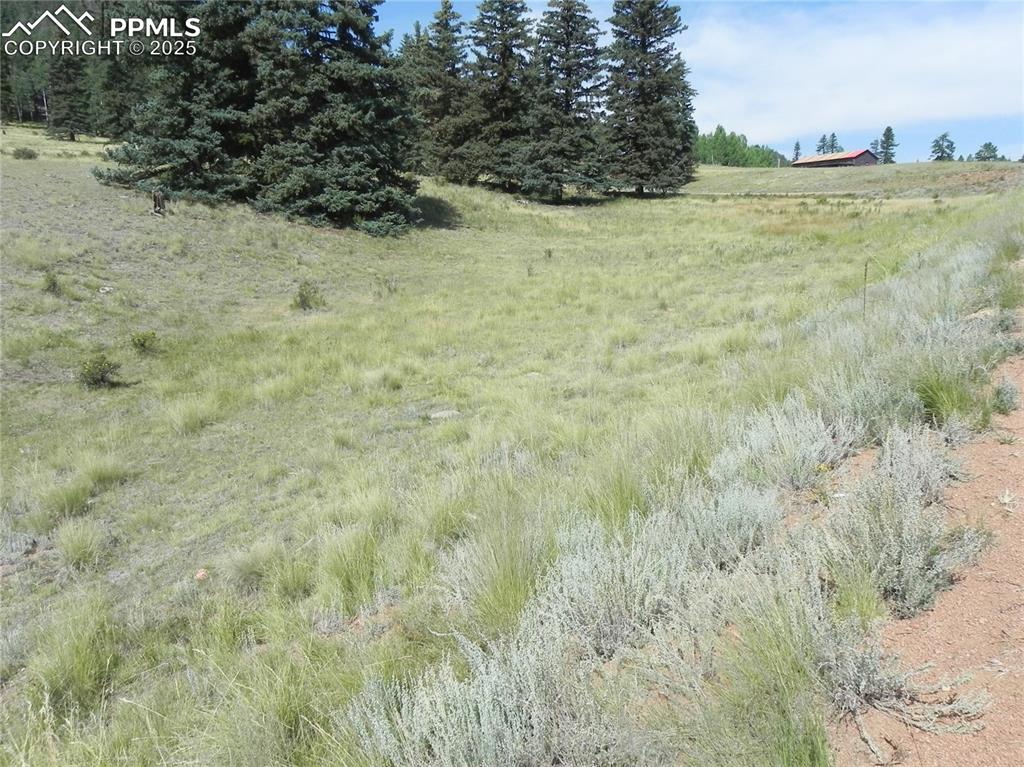 Image 11 of 13: Other