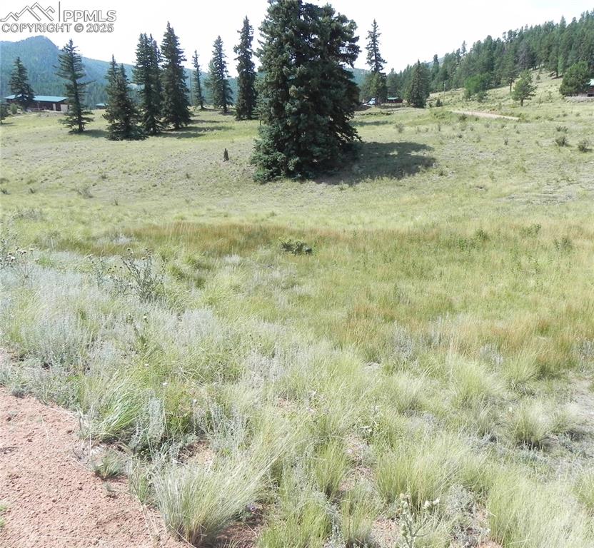 Image 2 of 13: Other