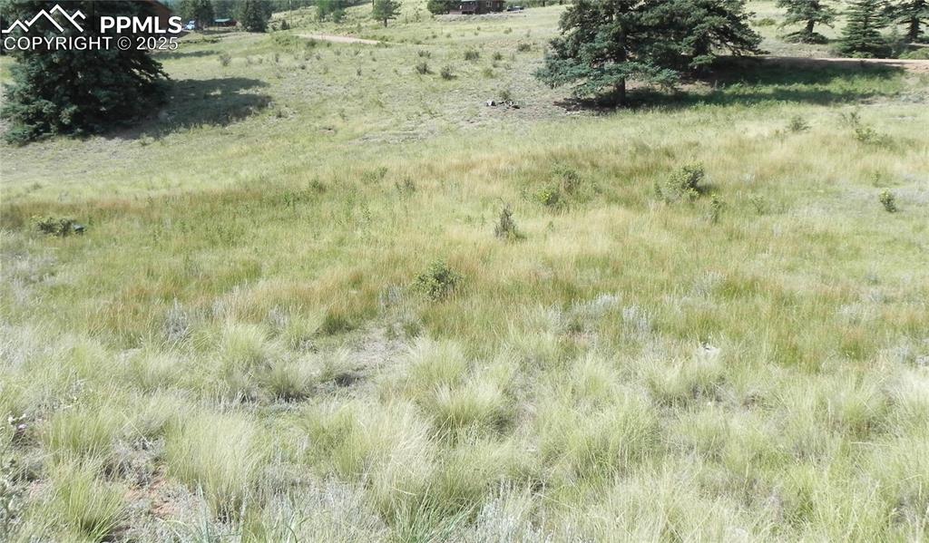 Image 3 of 13: Other