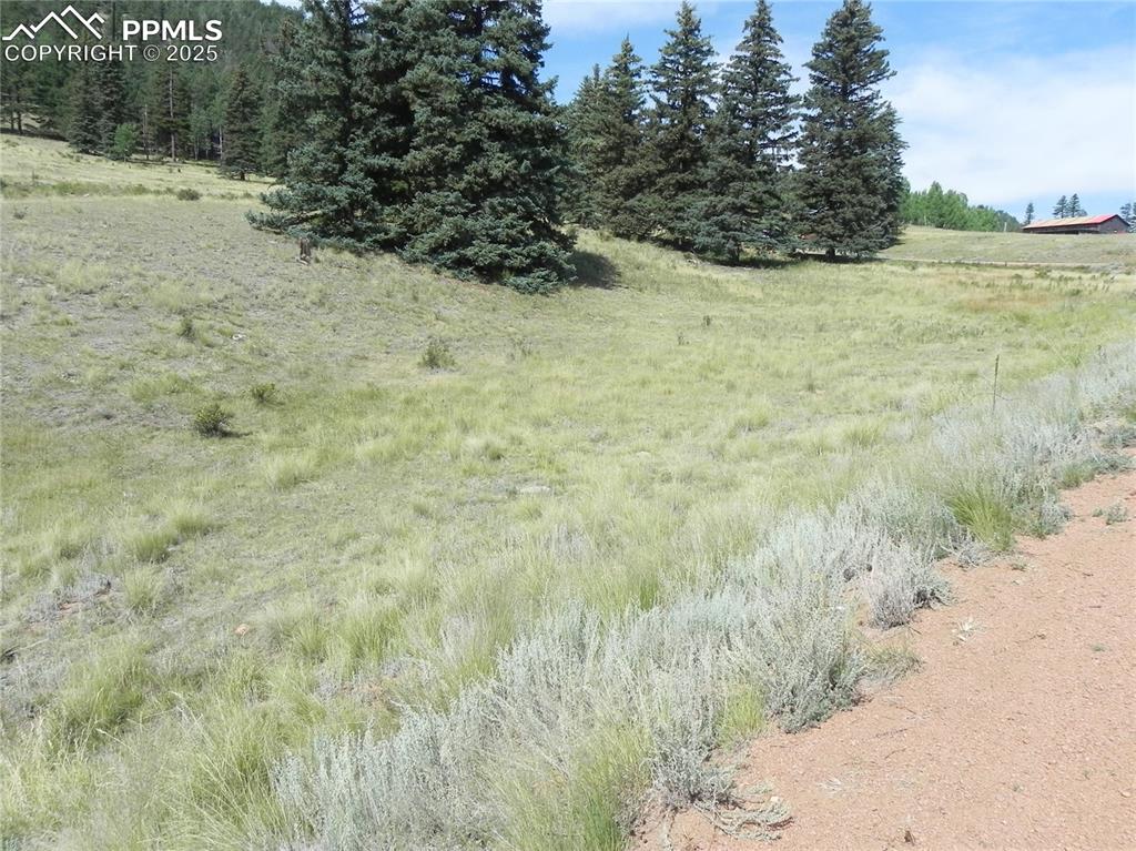 Image 6 of 13: Other