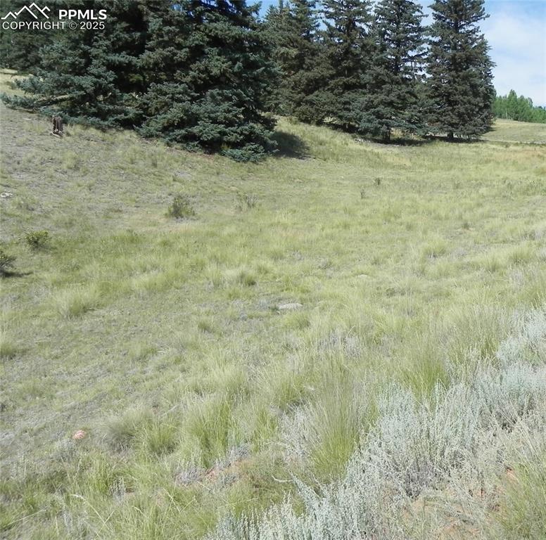 Image 7 of 13: Other