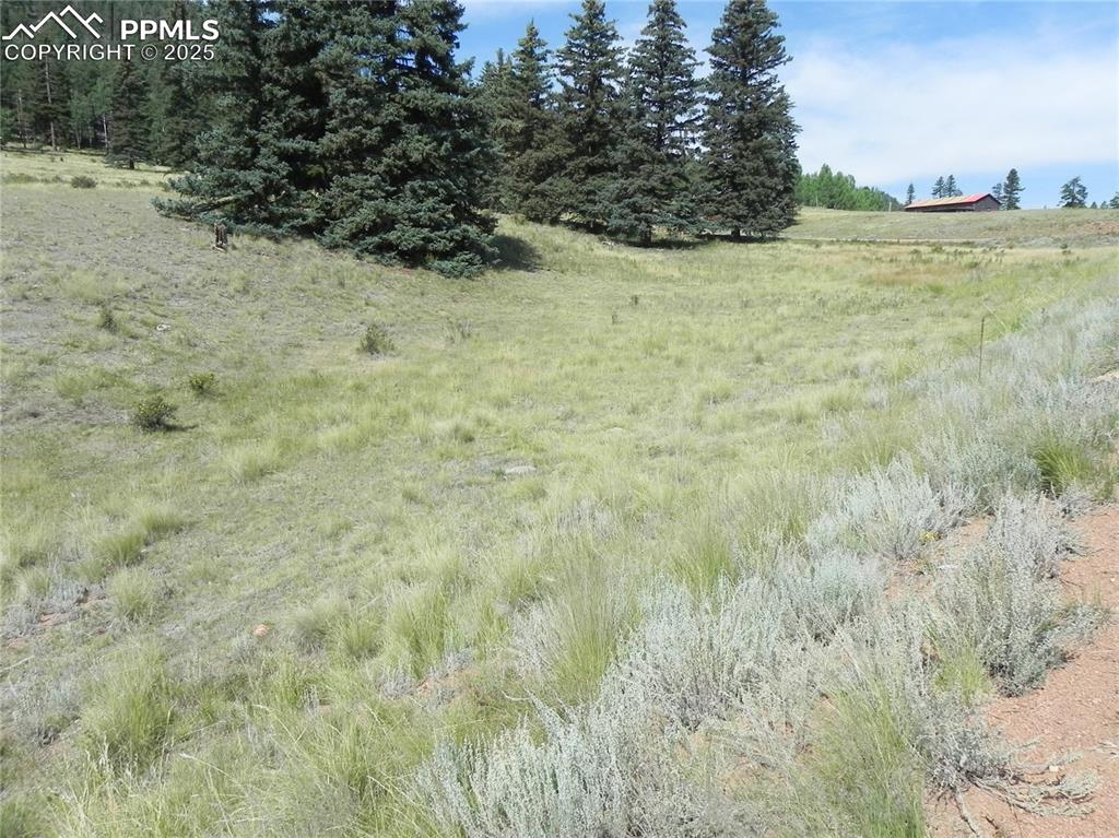 Image 8 of 13: Other