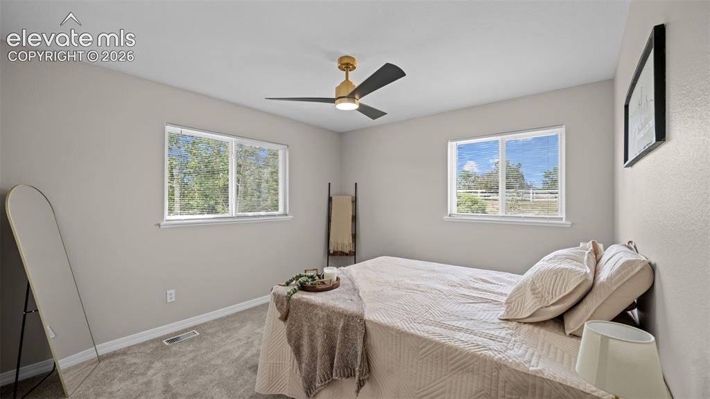 Image 28 of 48: Carpeted room featuring two large windows, a gold-accented ceiling fan with