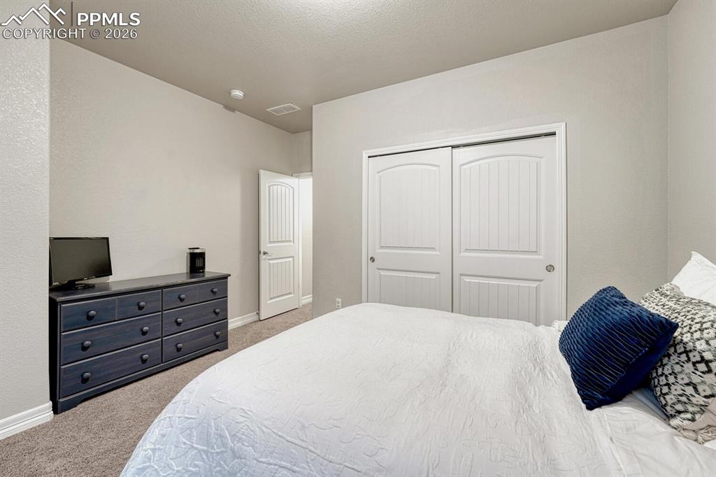 Image 33 of 46: Bedroom featuring light colored carpet, a closet, and a textured ceiling