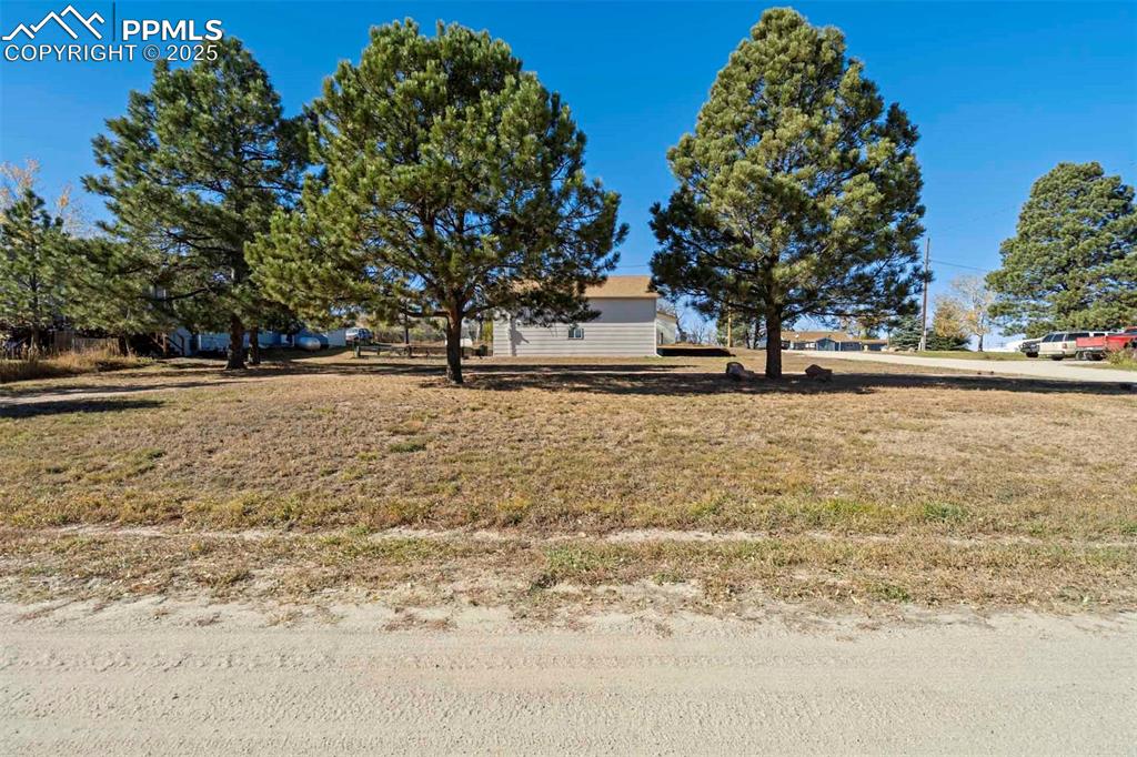 Image 19 of 34: Yard