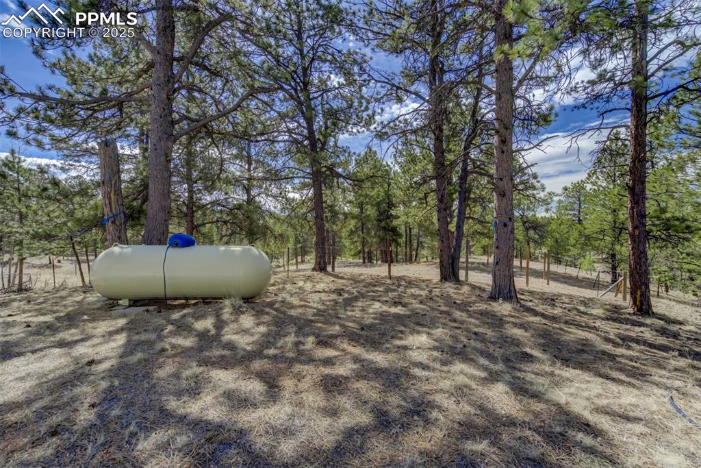 Image 32 of 47: Yard