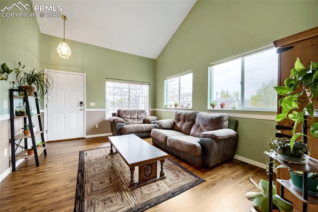 Image 4 of 32: Spacious living area featuring vaulted ceilings, wood-finish flooring, mult