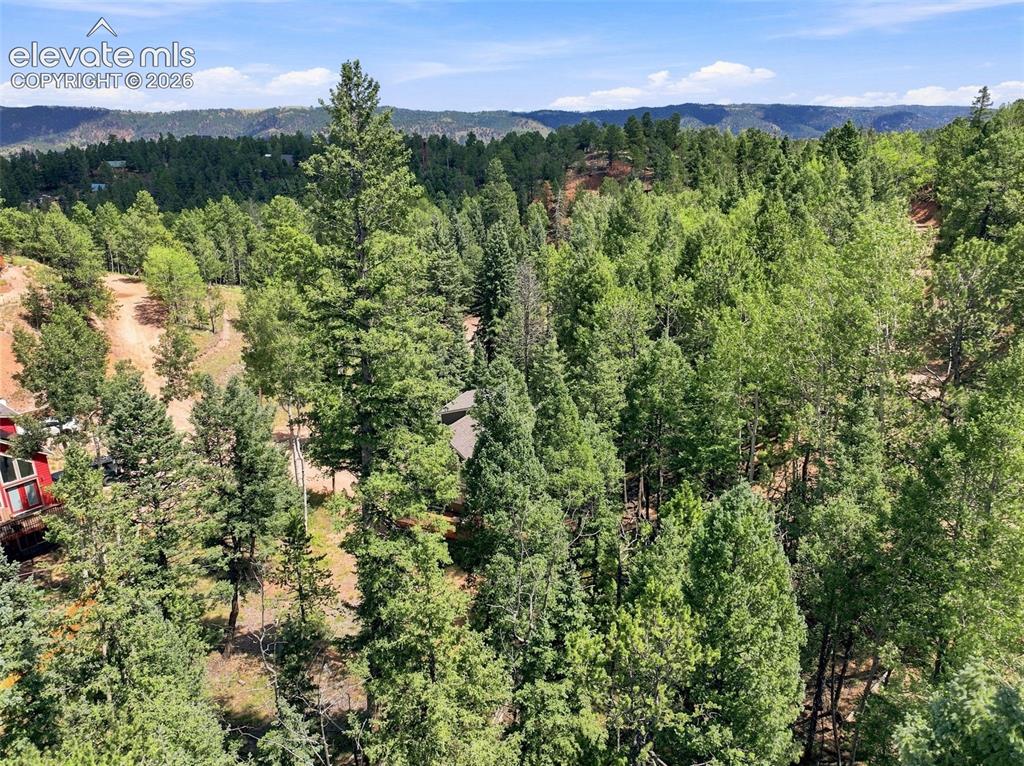 Image 38 of 45: Other