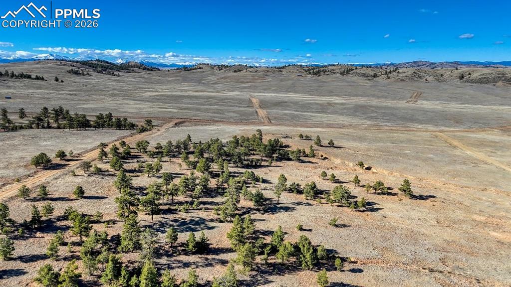 Image 11 of 21: Aerial View