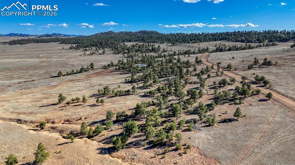 Image 17 of 21: Aerial View