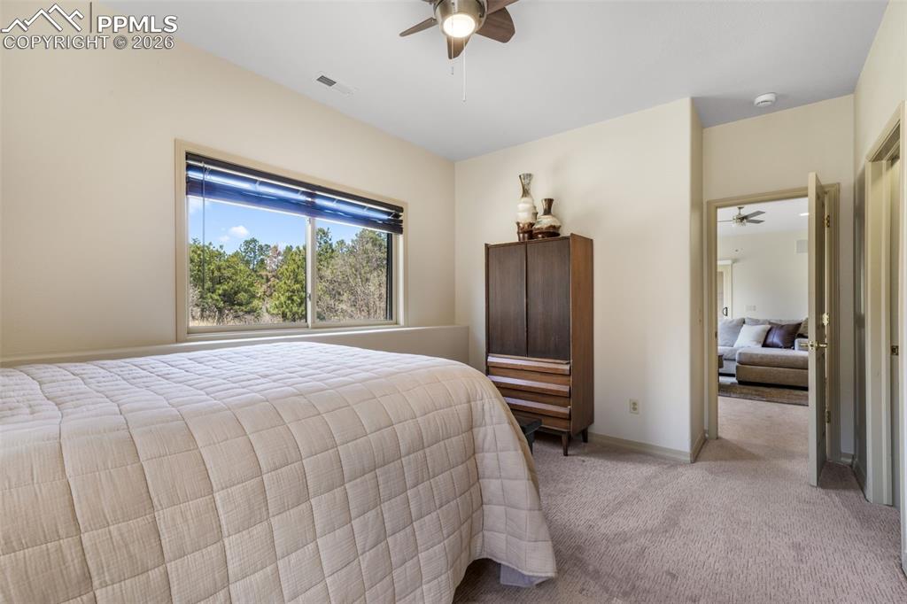 Image 35 of 50: Other