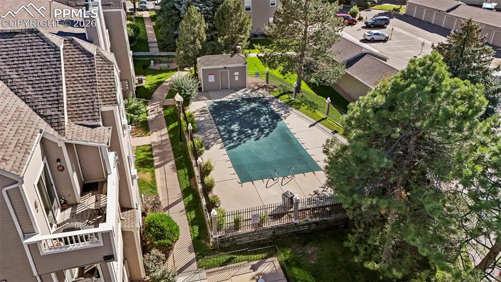 Image 28 of 50: Bird