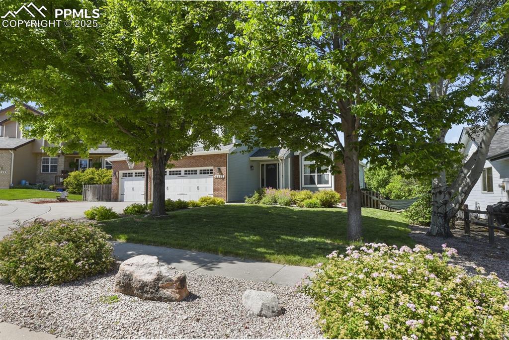 Image 4 of 50: View of property hidden behind natural elements with brick siding, driveway