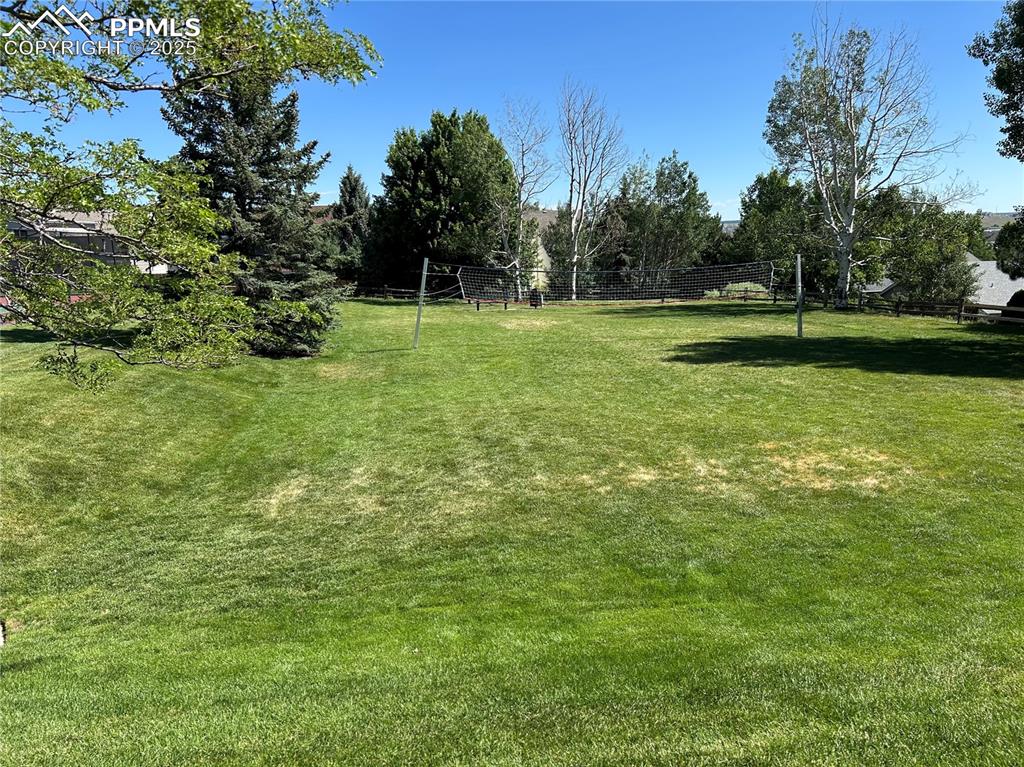 Image 50 of 50: View of yard