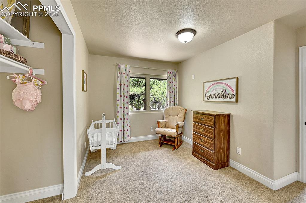 Image 24 of 50: Sitting room with carpet flooring, a textured ceiling, and baseboards