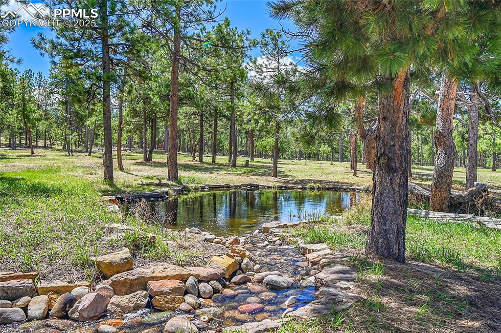 Image 4 of 50: View of pond and recirculating stream