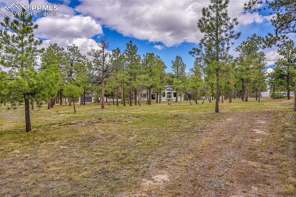 Image 45 of 50: heavily treed horse property
