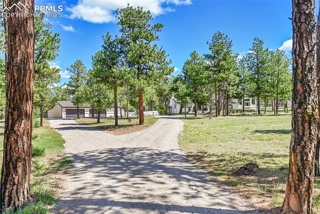 Image 46 of 50: Driveway entry