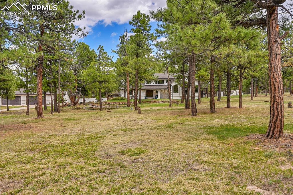 Image 47 of 50: heavily treed horse property