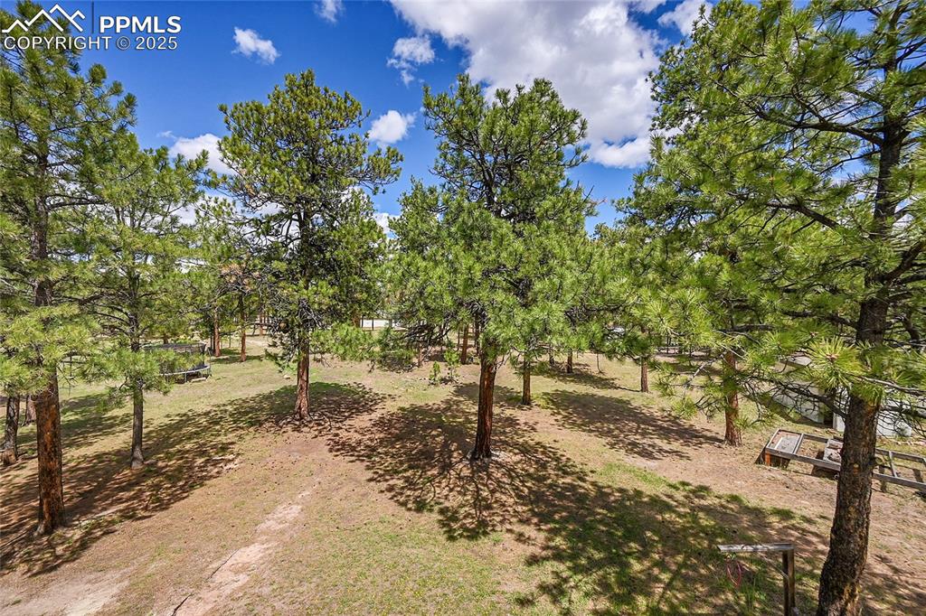 Image 48 of 50: Aerial View of property