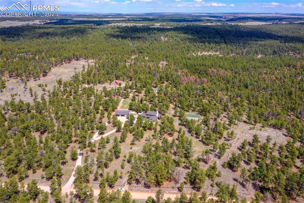 Image 50 of 50: Drone / aerial view with a view of trees