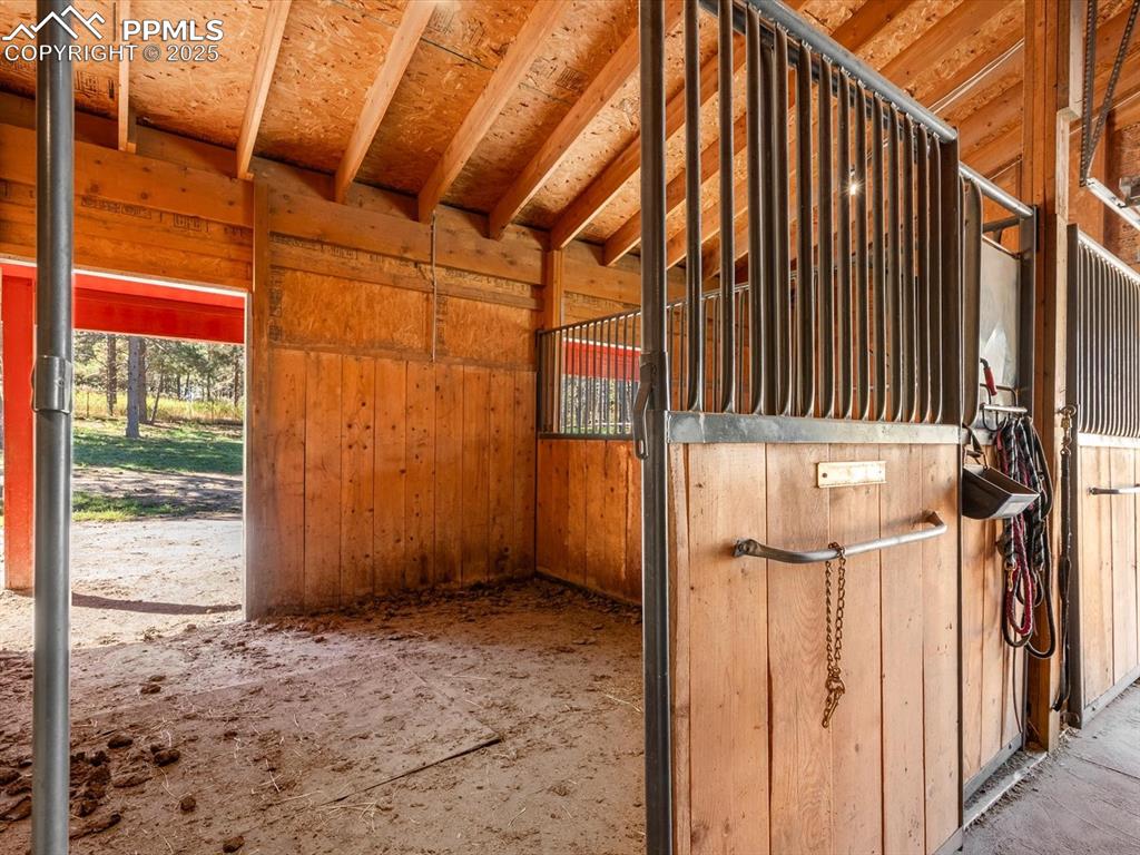 Image 28 of 31: Stable