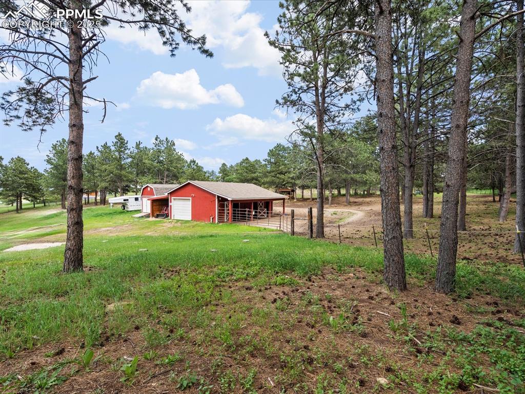 Image 29 of 31: Yard