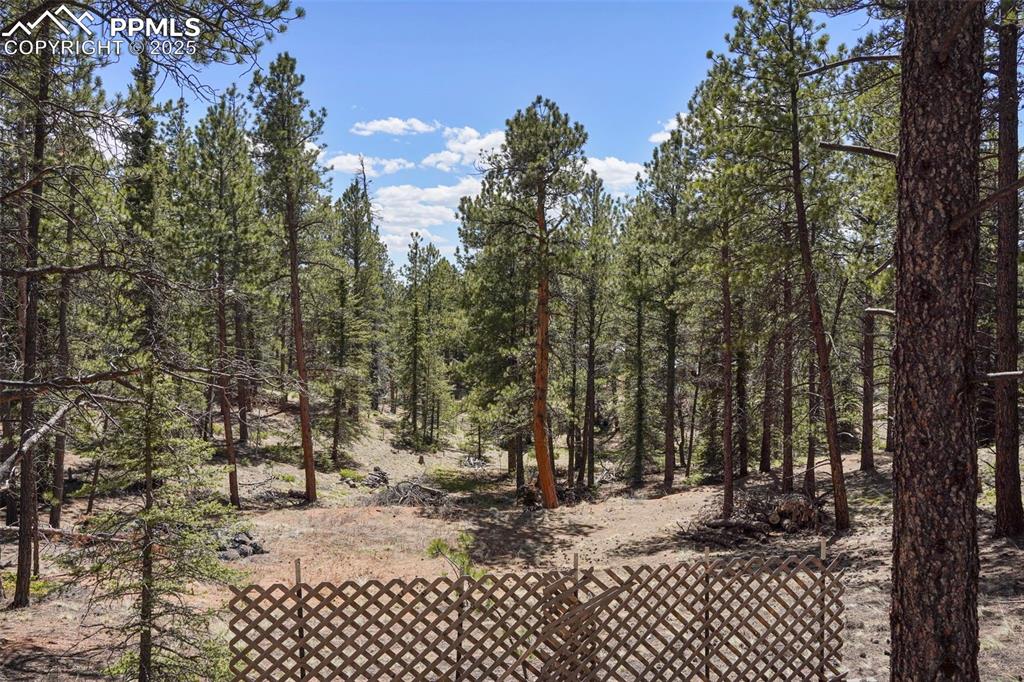 Image 25 of 29: View of yard with a view of trees
