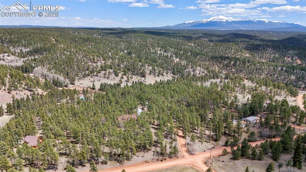 Image 27 of 29: Bird