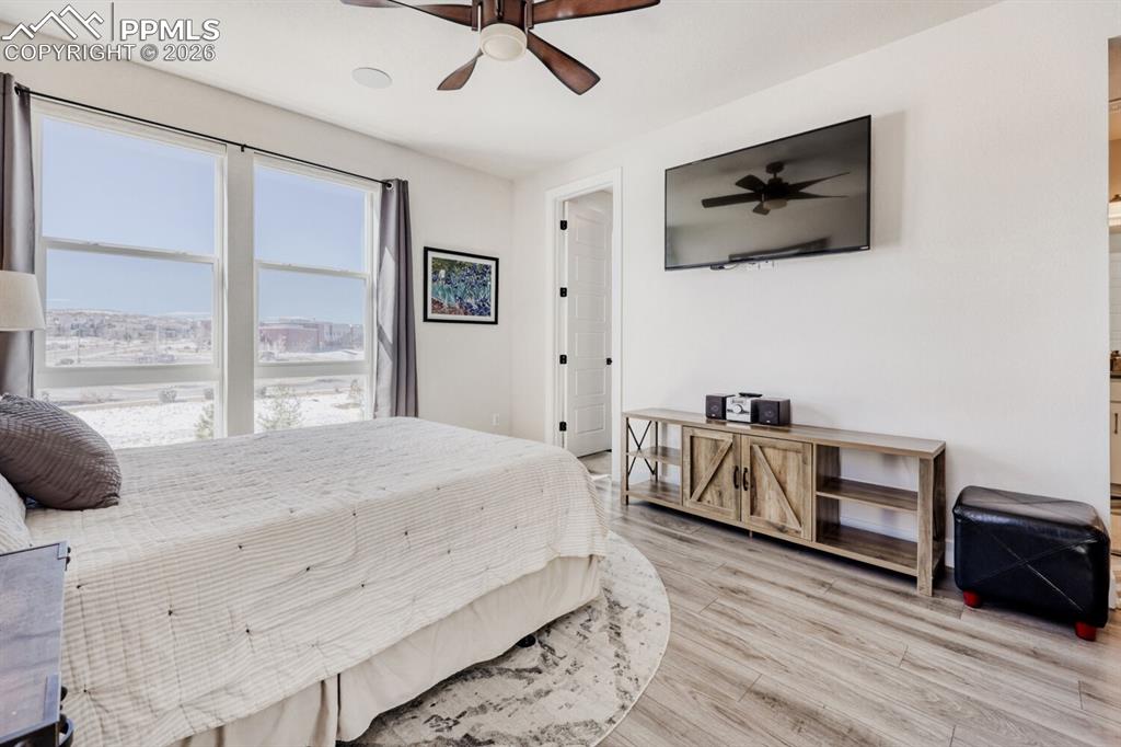 Image 16 of 45: Primary Suite Bathed in Sunlight