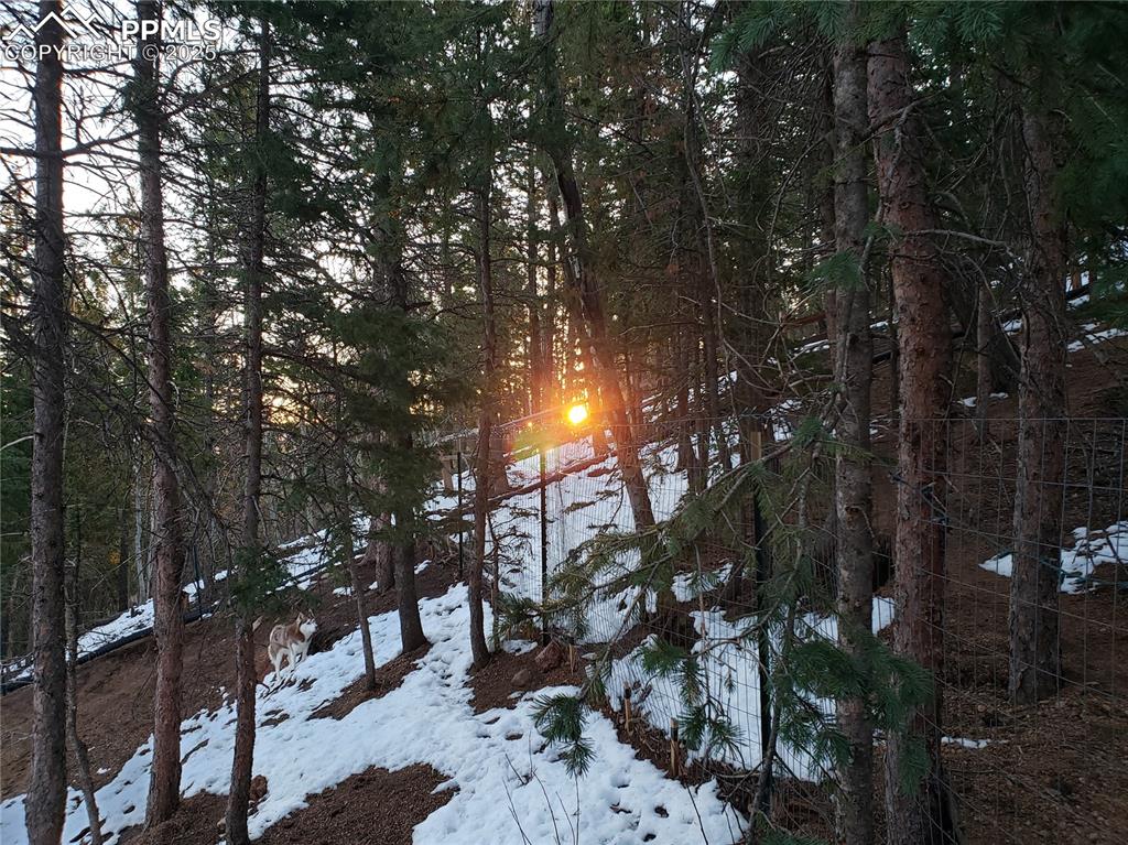 Image 28 of 37: Look closely and you can see the fencing in place for your dogs.