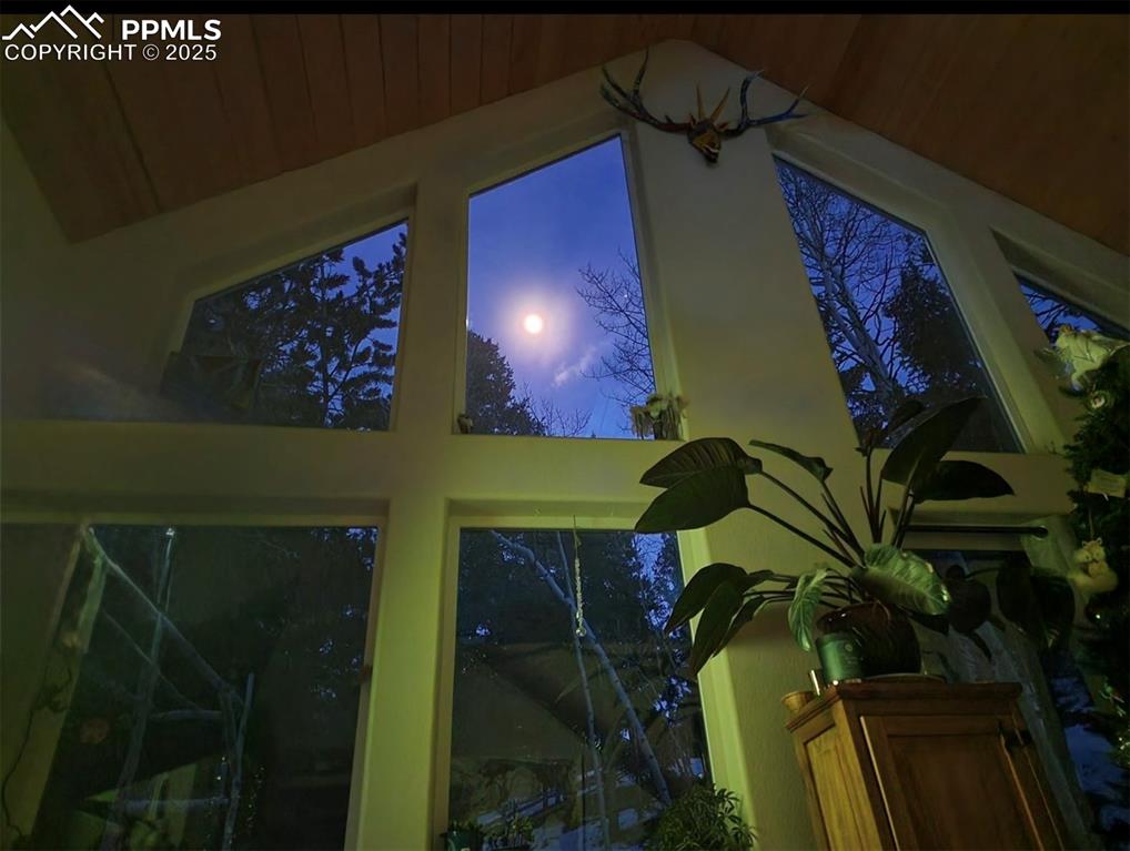 Image 34 of 37: ...Quiet moonlit nights...