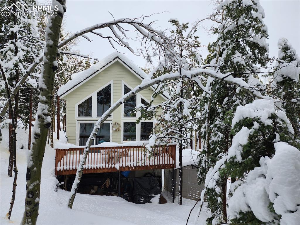 Image 36 of 37: ...A winter wonderland...