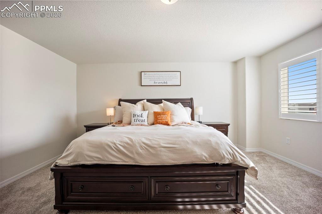 Image 20 of 38: Master Bedroom