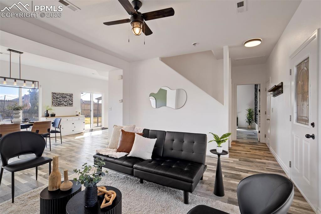 Image 4 of 46: All new interior paint.